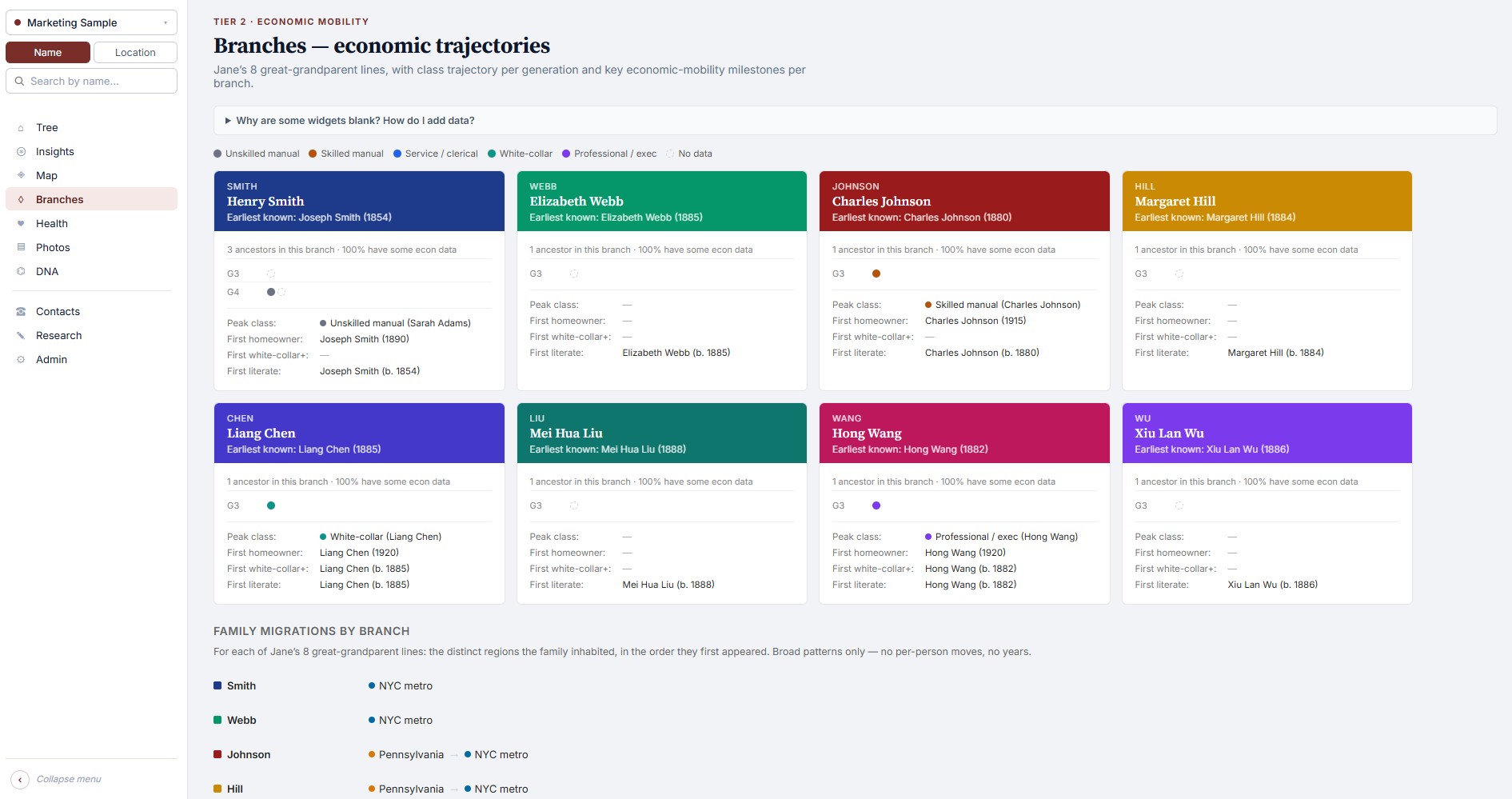 Branches page showing the eight great-grandparent lines, color-coded, with economic-trajectory cards.